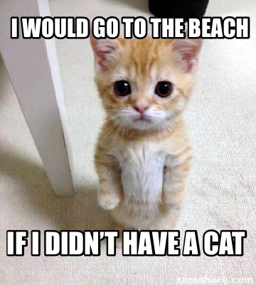 i-would-go-to-the-beach-if-i-didnt-have-a-cat