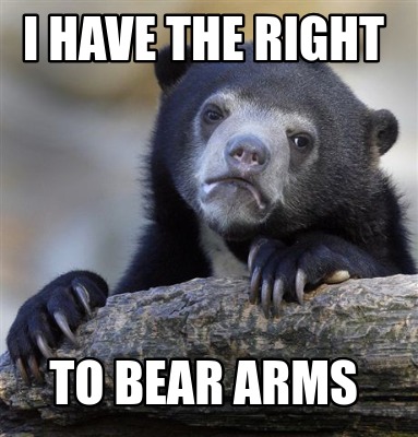 i-have-the-right-to-bear-arms16