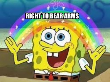 right-to-bear-arms16