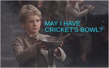 may-i-have-crickets-bowl