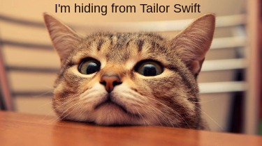 im-hiding-from-tailor-swift