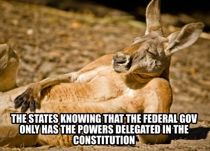 the-states-knowing-that-the-federal-gov-only-has-the-powers-delegated-in-the-con