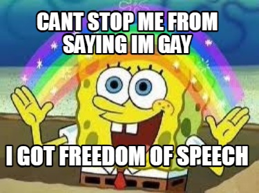 cant-stop-me-from-saying-im-gay-i-got-freedom-of-speech