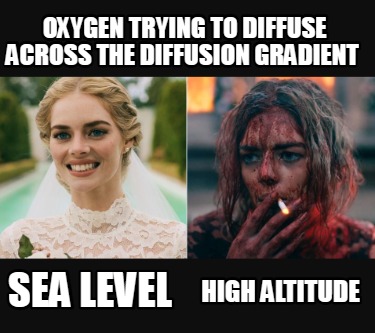 oxygen-trying-to-diffuse-across-the-diffusion-gradient-sea-level-high-altitude