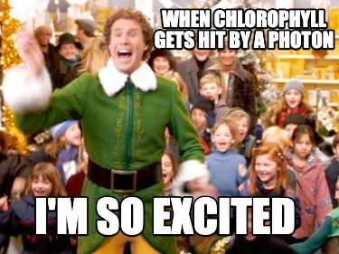 when-chlorophyll-gets-hit-by-a-photon-im-so-excited