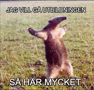 jag-vill-g-utbildningen-s-hr-mycket