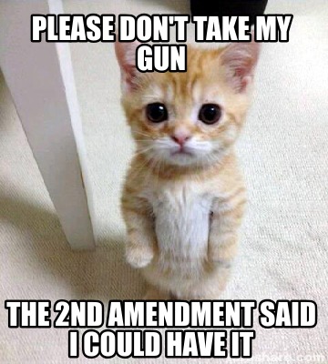 please-dont-take-my-gun-the-2nd-amendment-said-i-could-have-it