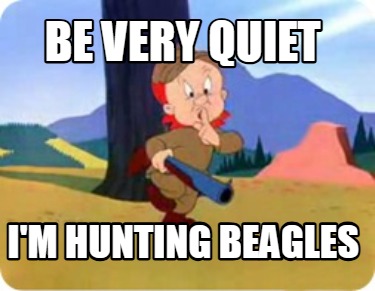 be-very-quiet-im-hunting-beagles5