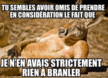 tu-sembles-avoir-omis-de-prendre-en-considration-le-fait-que-je-nen-avais-strict