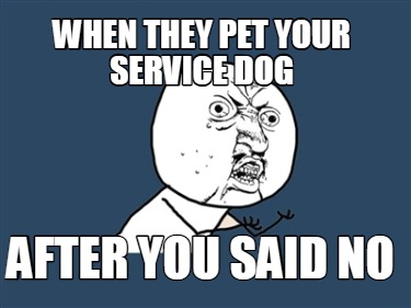 when-they-pet-your-service-dog-after-you-said-no