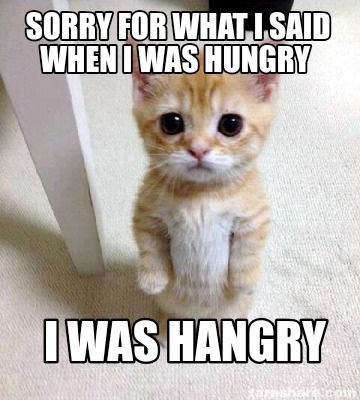 sorry-for-what-i-said-when-i-was-hungry-i-was-hangry