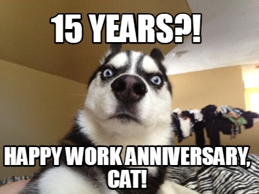 15-years-happy-work-anniversary-cat6