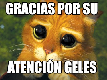 gracias-por-su-atencin-geles