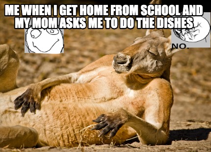 me-when-i-get-home-from-school-and-my-mom-asks-me-to-do-the-dishes