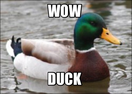 wow-duck