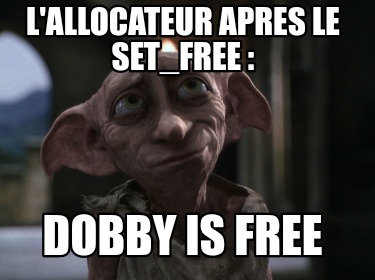 lallocateur-apres-le-set_free-dobby-is-free