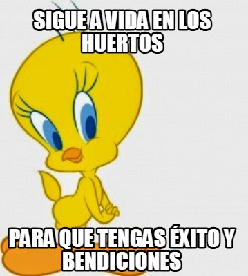 sigue-a-vida-en-los-huertos-para-que-tengas-xito-y-bendiciones