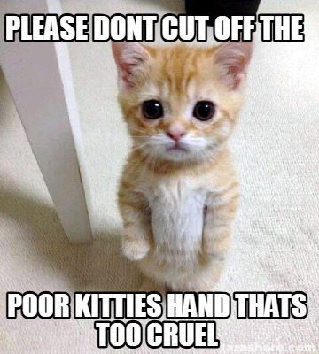 please-dont-cut-off-the-poor-kitties-hand-thats-too-cruel