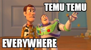 temu-temu-everywhere7