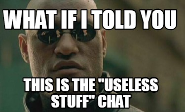 what-if-i-told-you-this-is-the-useless-stuff-chat