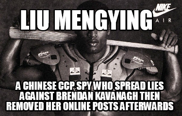 liu-mengying-a-chinese-ccp-spy-who-spread-lies-against-brendan-kavanagh-then-rem