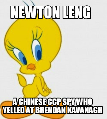 newton-leng-a-chinese-ccp-spy-who-yelled-at-brendan-kavanagh