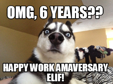 omg-6-years-happy-work-amaversary-elif