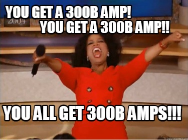 you-get-a-300b-amp-you-get-a-300b-amp-you-all-get-300b-amps