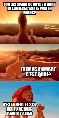 tu-vois-simba-ce-quil-y-a-dans-la-lumire-cest-le-pmo-en-france-cest-brest-et-ses