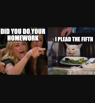 did-you-do-your-homework-i-plead-the-fifth