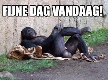 fijne-dag-vandaag