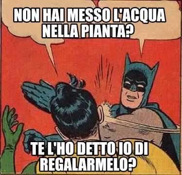 non-hai-messo-lacqua-nella-pianta-te-lho-detto-io-di-regalarmelo