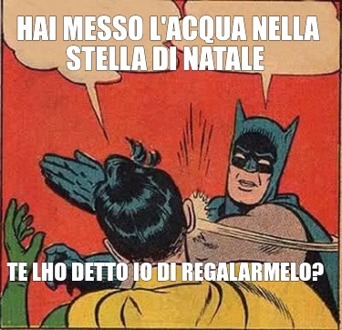 hai-messo-lacqua-nella-stella-di-natale-te-lho-detto-io-di-regalarmelo