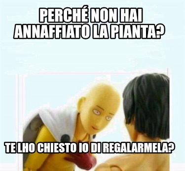 perch-non-hai-annaffiato-la-pianta-te-lho-chiesto-io-di-regalarmela