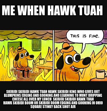 me-when-hawk-tuah-skibidi-skibidi-hawk-tuah-hawk-skibidi-king-who-gives-out-blum