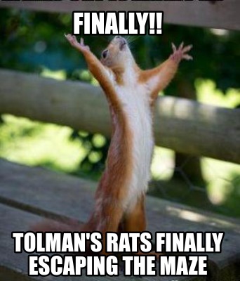 finally-tolmans-rats-finally-escaping-the-maze