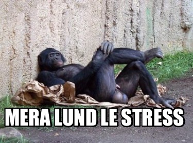 mera-lund-le-stress