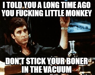 i-told-you-a-long-time-ago-you-fucking-little-monkey-dont-stick-your-boner-in-th