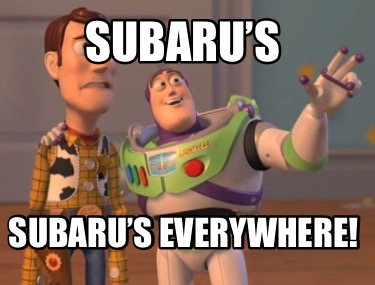 subarus-subarus-everywhere4