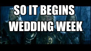 so-it-begins-wedding-week