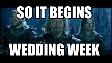 so-it-begins-wedding-week8