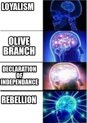 loyalism-olive-branch-declaration-of-independance-rebellion