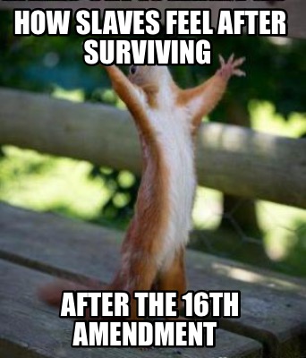 how-slaves-feel-after-surviving-after-the-16th-amendment