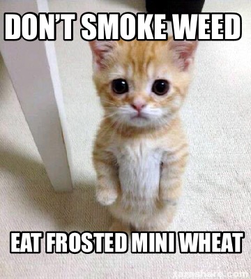 dont-smoke-weed-eat-frosted-mini-wheat