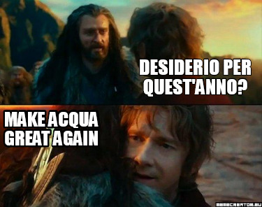 desiderio-per-questanno-make-acqua-great-again