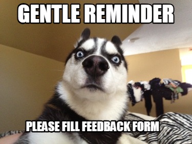 gentle-reminder-please-fill-feedback-form