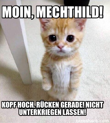 moin-mechthild-kopf-hoch-rcken-gerade-nicht-unterkriegen-lassen4