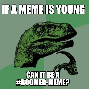 if-a-meme-is-young-can-it-be-a-boomer-meme9