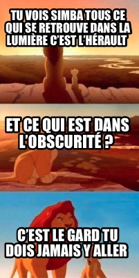 tu-vois-simba-tous-ce-qui-se-retrouve-dans-la-lumire-cest-lhrault-cest-le-gard-t