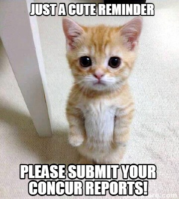 just-a-cute-reminder-please-submit-your-concur-reports